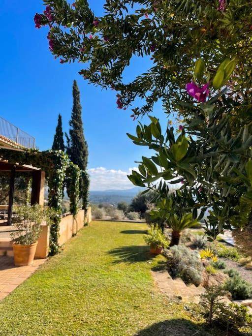 Finca Rural S'Estepa Пальма-де-Майорка Екстер'єр фото